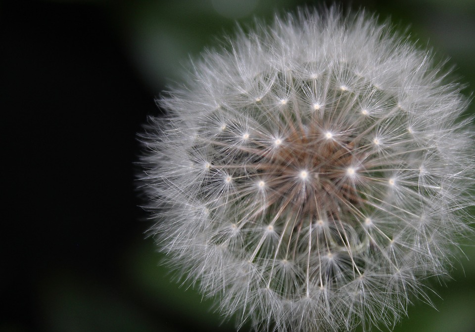 Nutrire il sé senza&nbsp;cibo